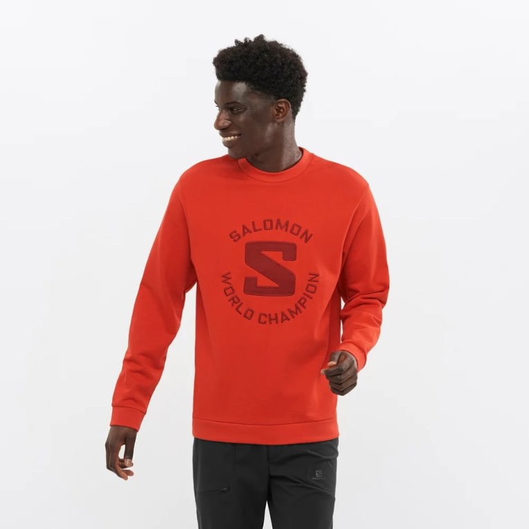 Orange Salomon Outlife Logo Summer Men\'s Sweatshirt | PH 26930J